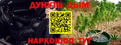 шишки Среднеуральск