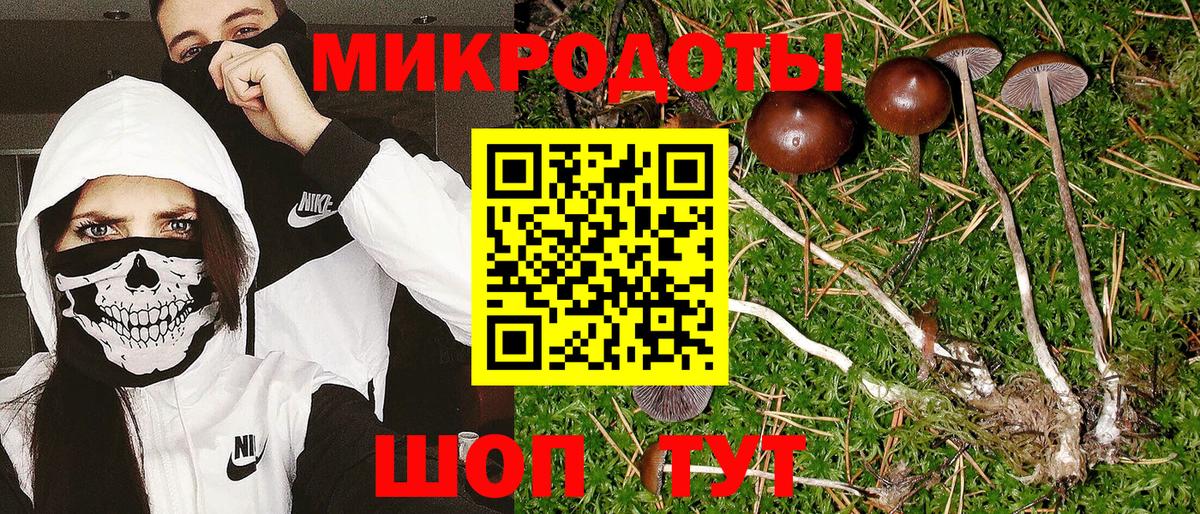 Нефтекамск  Галлюциногенные грибы Magic Shrooms  Вход с VPN  Галлюциногенные грибы Cubensis 