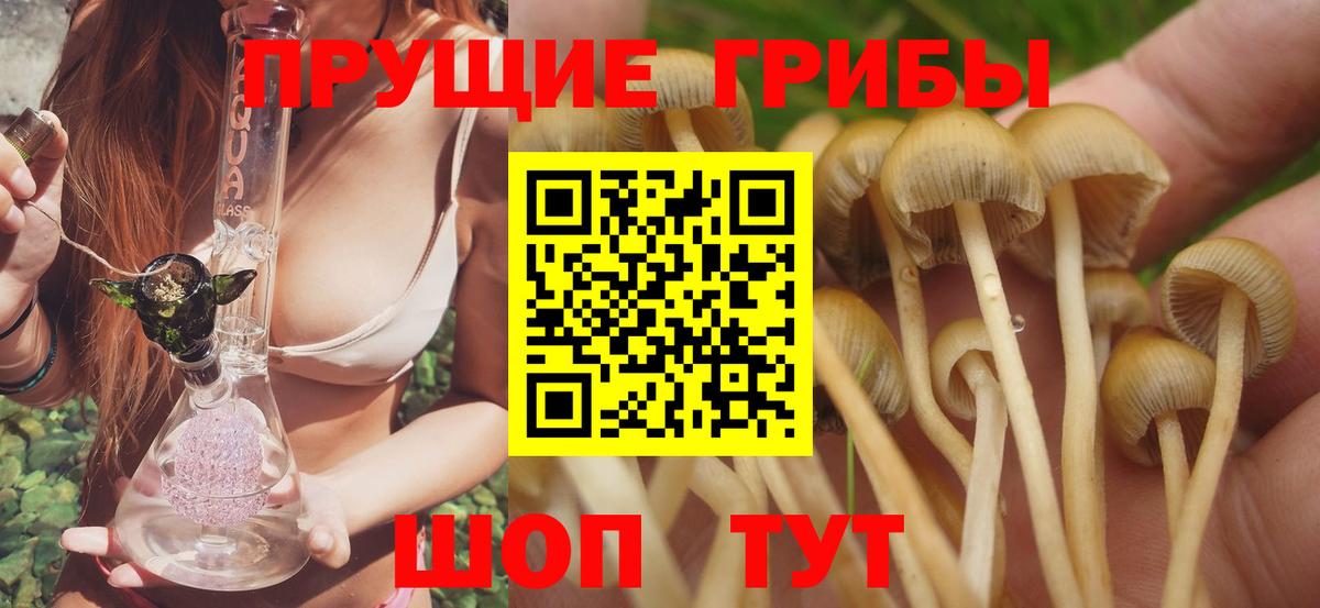 Псилоцибиновые грибы прущие грибы Нефтекамск