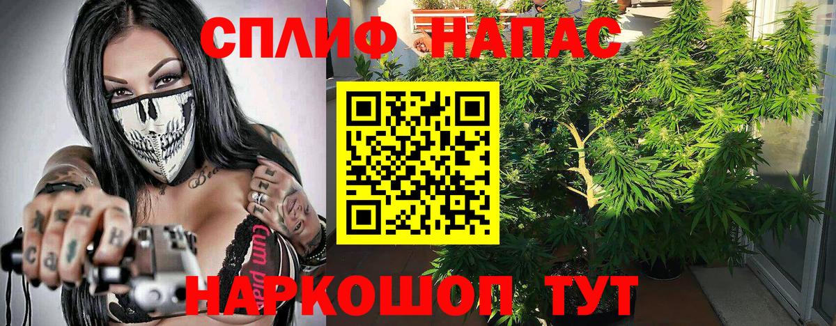 Нефтекамск  Канабис план  Бошки Шишки SATIVA & INDICA  Конопля сатива  Конопля Amnesia  Вход с VPN 